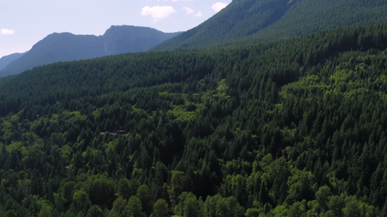 sobrevolando el exuberante bosque verde de coníferas cerca del parque nacional del monte rainier en packwood, estado de washington, estados unidos