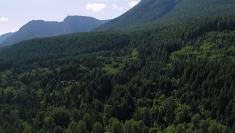 overflying the lush green coniferous forest near the mount rainier national park in packwood, washington state, usa