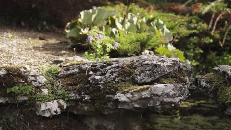 small stone bridge in park is damaged