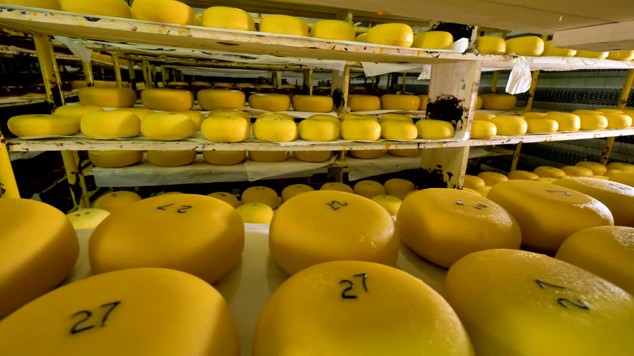 Et bredt udvalg af modne ostehjul, der hviler på rustne opbevaringshylder. 4K