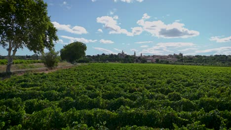 Niedriger-Luftwagen-über-Einem-Reifen-Weinberg-Mit-Blick-Auf-Das-Chateau-Pouzillac