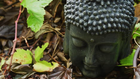 close up of buddha head surround by grapevines