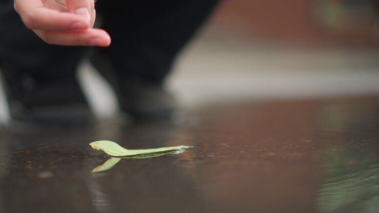 Woman placing leaf on puddle, closeup contemplative scene of crouched figure dropping bright green leaf onto reflective wet pavement, soft ripples and blurred urban background, subtle drizzle