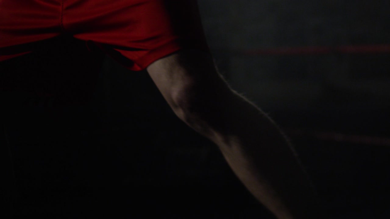 Boxer sul ring