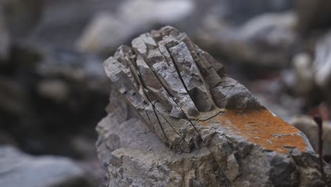 close up shot of aged rock formation details, cut with time, padure, latvia