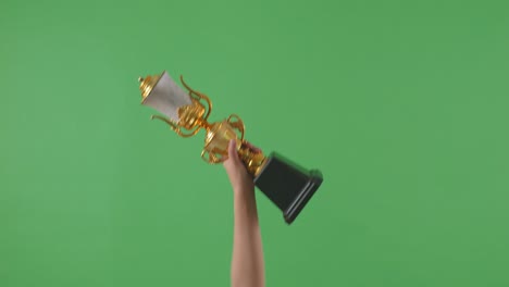 raised hands of a woman are holding a trophy. green screen background