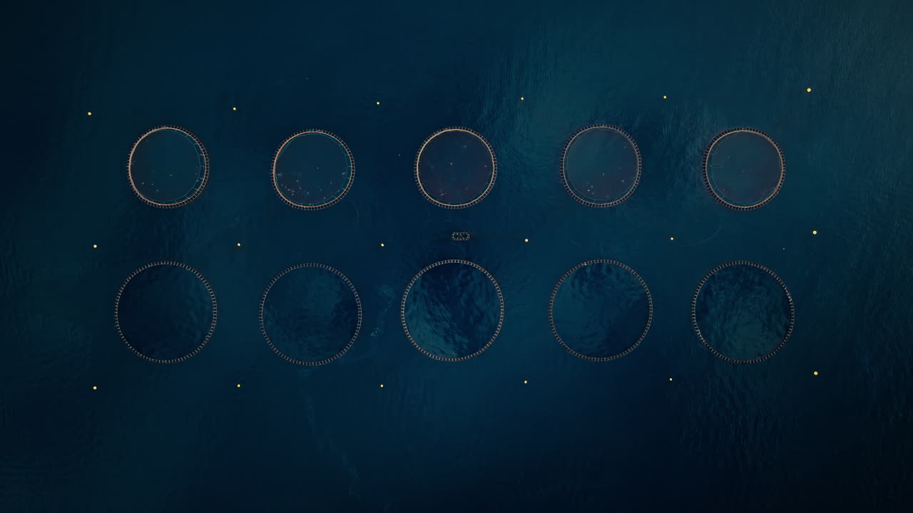 Aerial View of a Circular Fish Farm in the Ocean