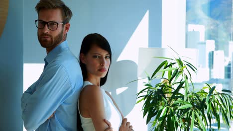 portrait of colleagues standing back to back