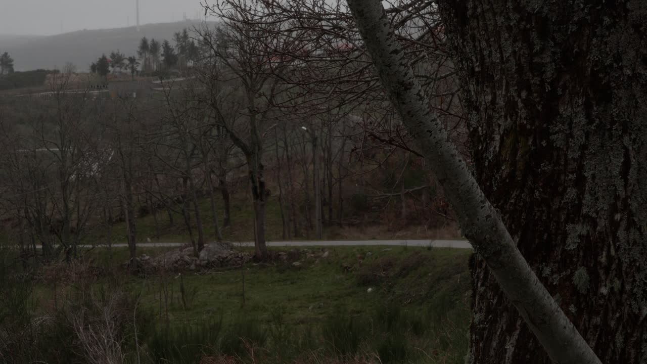 숲을 통해 어두운 거리