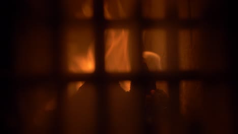 Firewood-burning-in-Tile-Stove---Cockle-behind-the-glass-door