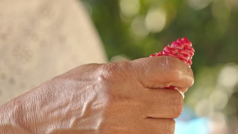 zingiber spectabile or ginger shampoo bud squeezed by person hands, close up