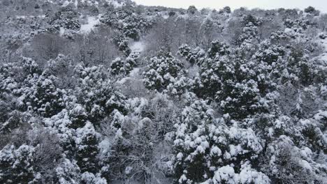 flying over a picturesque forest blanketed by thick coverage of heavy snow