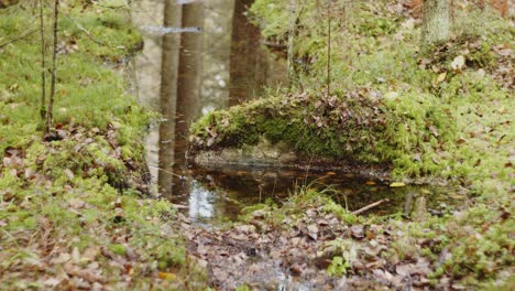 stream with reflection down green forest moss filled rock - jyvaskyla finland