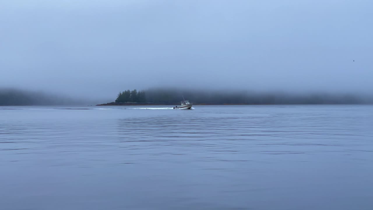 안개 낀 아침 케치칸 알래스카 근처 항구로 들어오는 어선의 총격