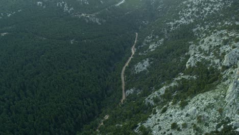 aerial - forest road from a great height between mountains - shot on dji inspire 2 x7 raw