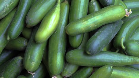 fresh green cucumber many close up from top angle