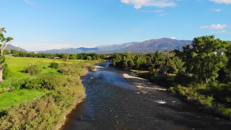 shallow river creek lined with vibrant lush green trees in colorado rocky mountain valley