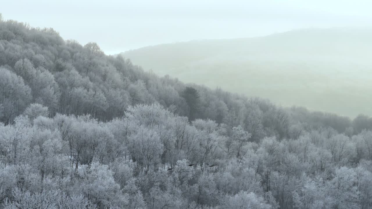 뉴욕 북부의 겨울 풍경의 공중 풍경입니다.