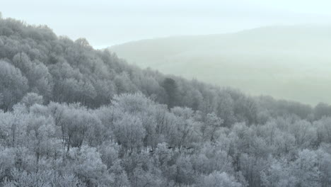 aerial view of a winter landscape in upstate new york.