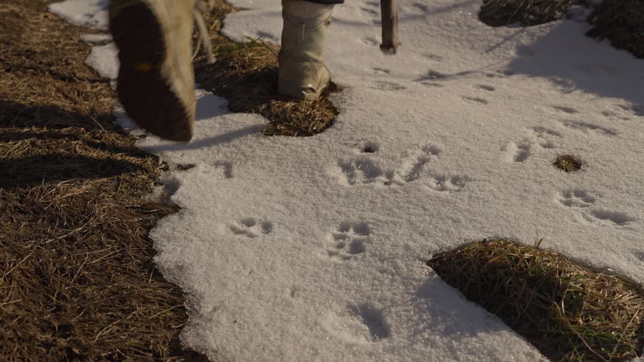 Terreno innevato con impronte