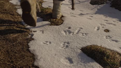 Snowy Ground with Footprints
