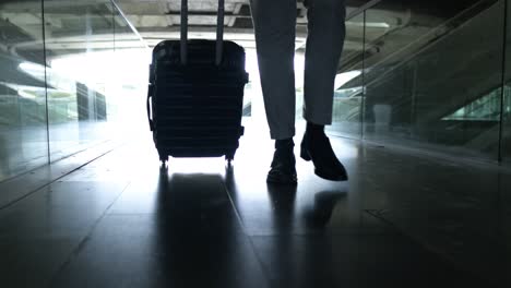 cropped shot of businessman with suitcase in airport