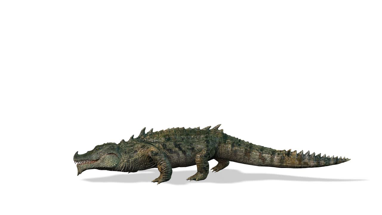 ataque de cocodrilo, vista lateral bucle sin costuras, fondo blanco