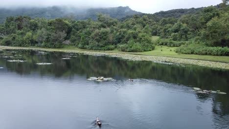 tomada panorámica del lago kookal en kodaikanal, patos nadando en el lago, india