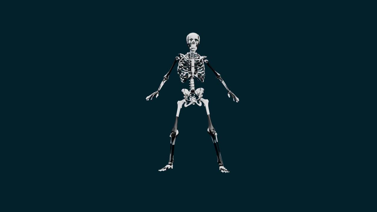 Dancing skeleton moments night