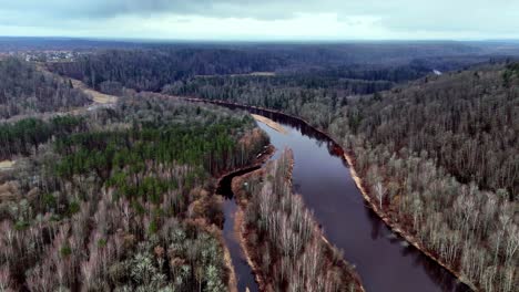 gauja river bend on overcast day with bare trees, aerial view