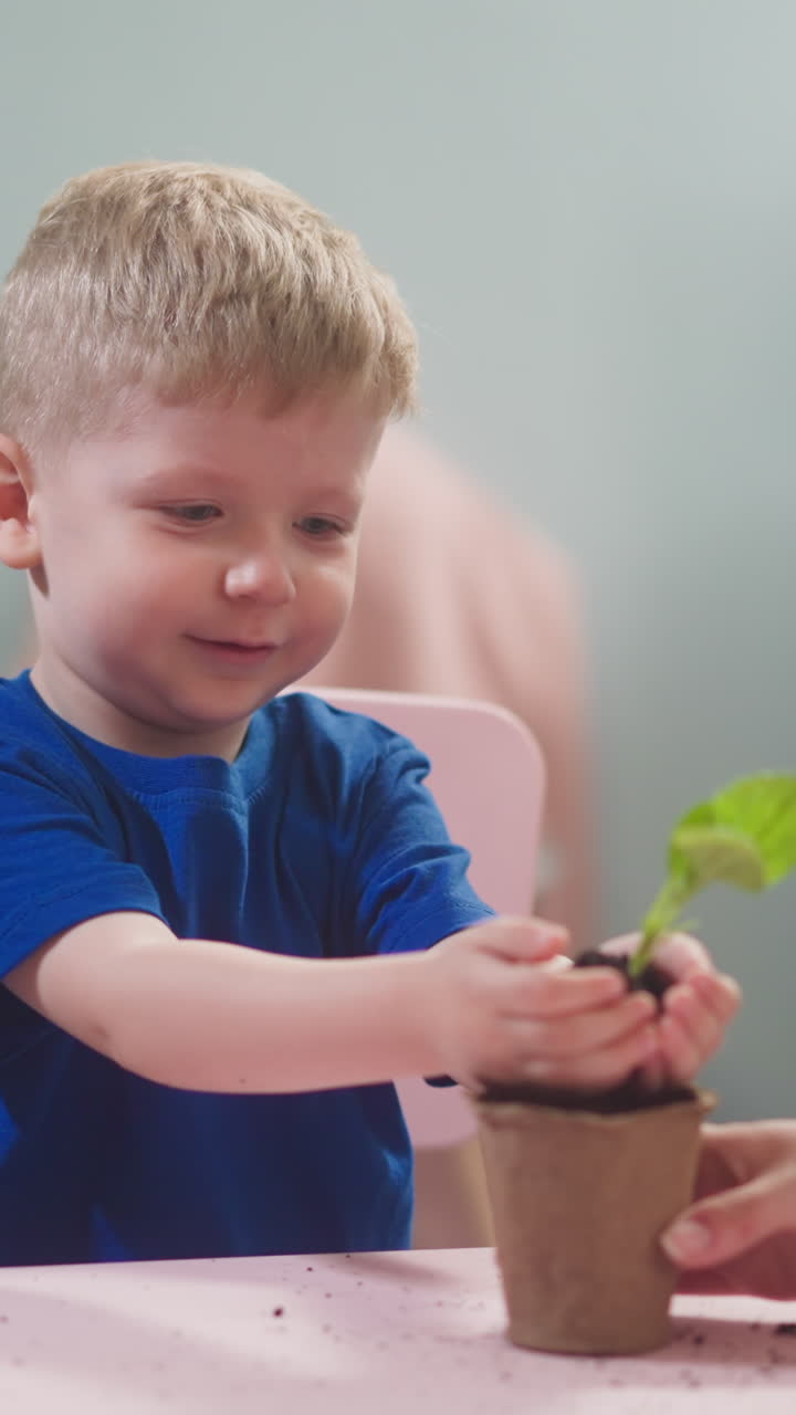 Happy little boy inserts plant seedling into paper pot with mother help at home slow motion. Child transplants sprout with parent. Domestic gardening