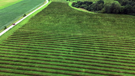 Field-of-cut-cattle-grass-tractor-driving-past