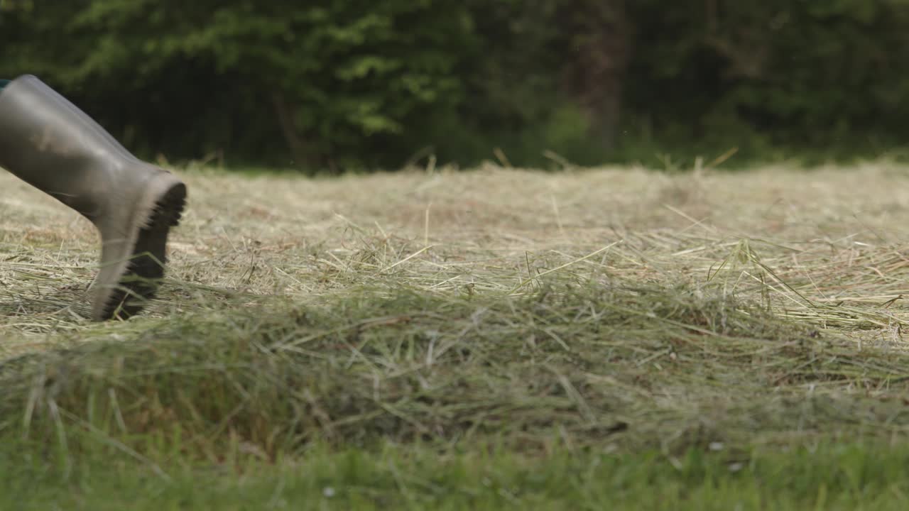 agricultor caminando a través del campo de heno durante la temporada de cosecha, ángulo bajo