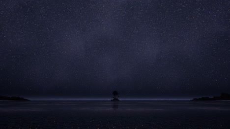 starry night beachscape