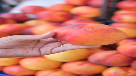 a woman's hand holding a fresh peach