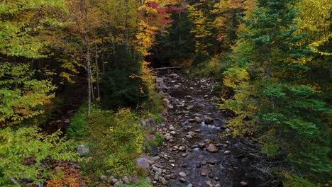 south branch gale river rise toward east with vibrant fall foliage in new england