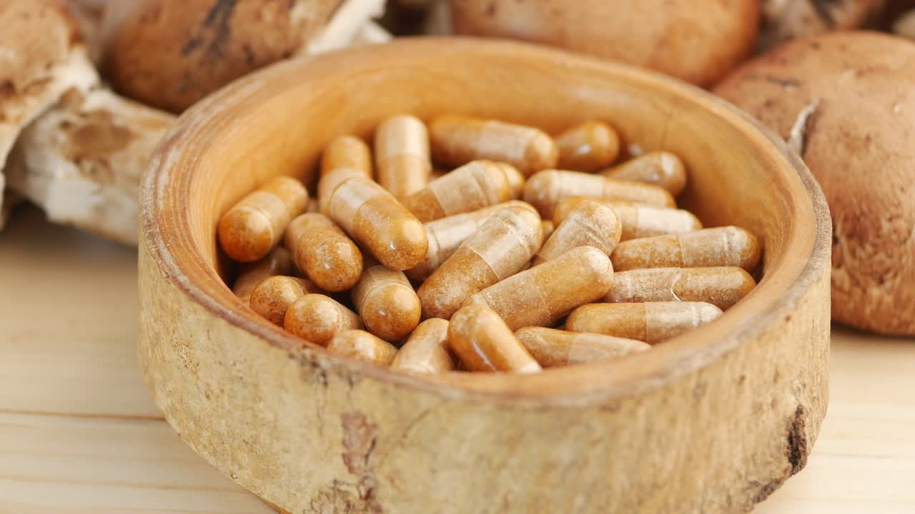 나무 그에 버섯