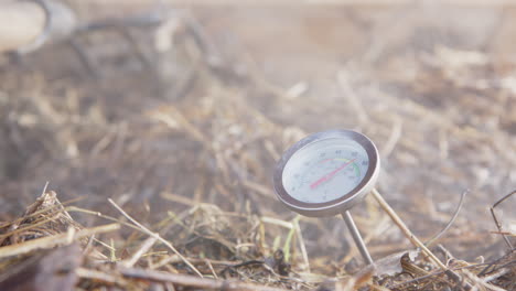ampliar - termómetro de compost en un compost humeante saludable