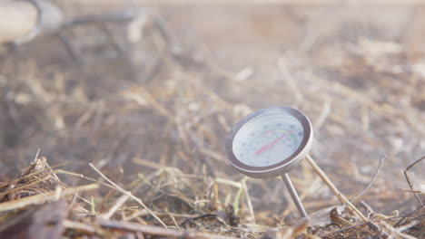 zoom in - compost thermometer in a healthy steaming compost