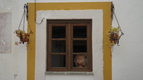 window with flowers and a creepy doll