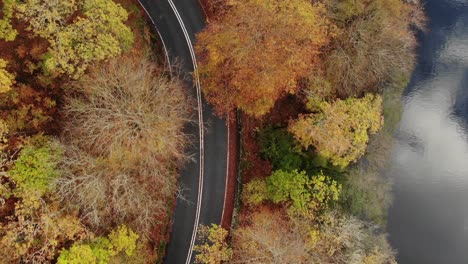 autumn roads from above in uk