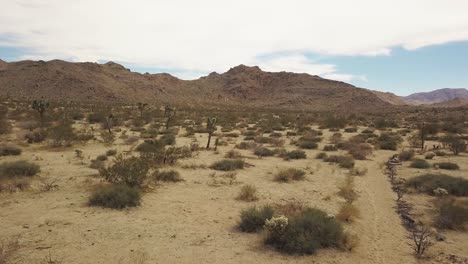 vista aérea de drones del desierto en el parque nacional joshua tree durante la luz del sol