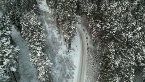 Verschneite-Straße-In-Einem-Winterwald