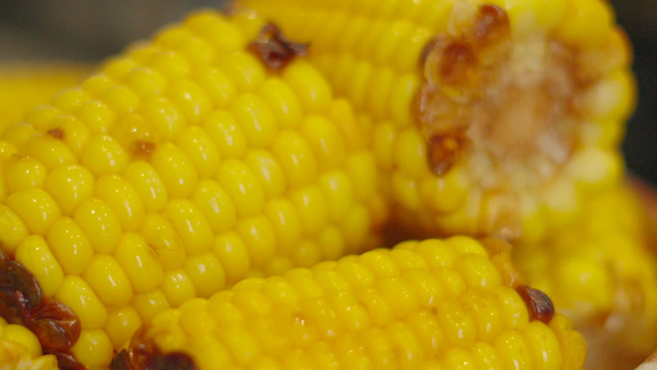 Handheld Slow Moving Down Corn on the Cob with Steam Rising After Cooking with Charred Pieces of Sweetcorn. Plant Based Natural Organic Farm Grown Food. Nutritious Healthy Vegetable