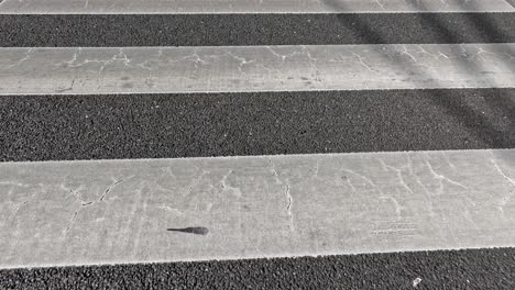 shadow of person walking across zebra crossing