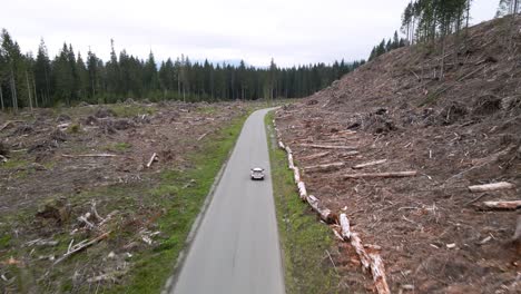 Following-a-lone-white-SUV-through-a-recently-clear-cut-forest-area,-aerial-track