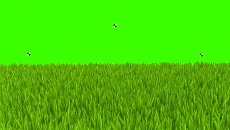 grass 3d animation videok