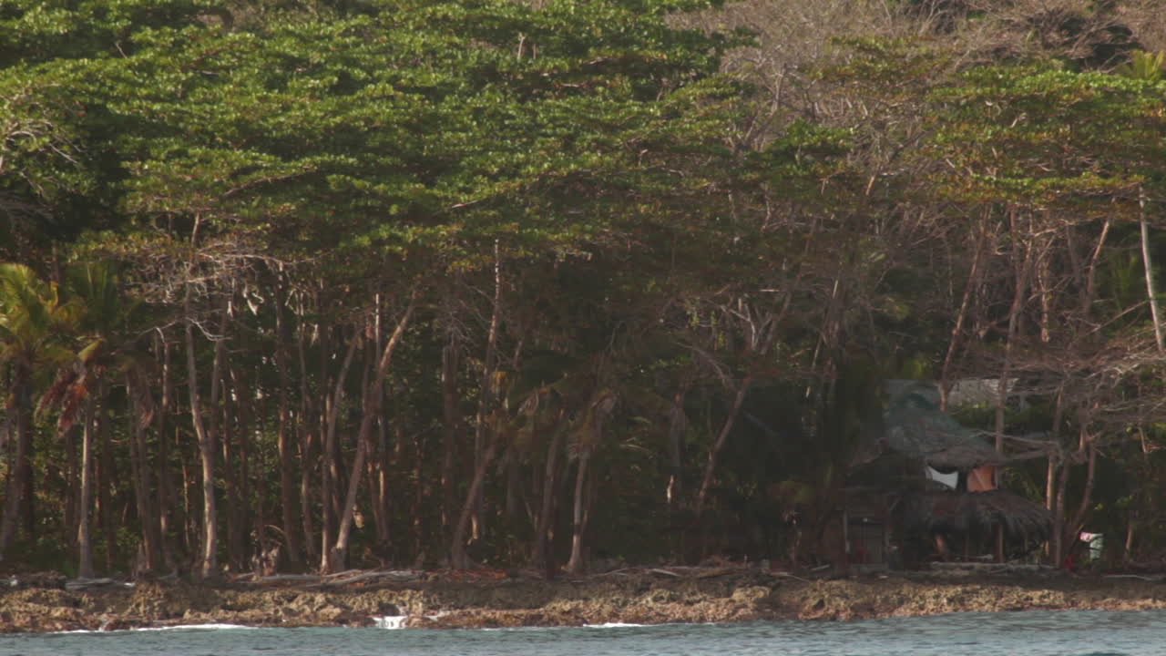 A hidden wooden rustic home tucked into the jungle, barely visible between the thick Darien Gap foliage in Colombia.