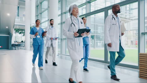 teamwork, medical and walking with doctors