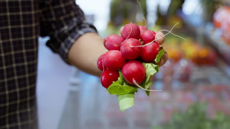 person holding a bunch of radishes